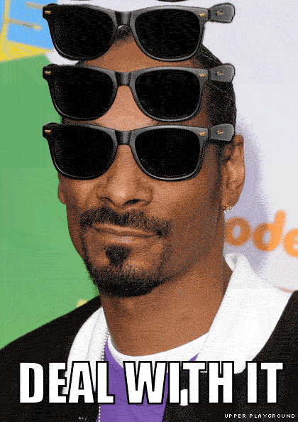 deal-with-it-snoop
