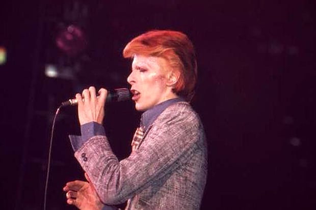Bowie-Web-1